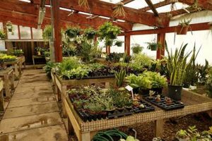 Your Local Frontier Garden Center: Plants & More! | The Ultimate Gardening Guide: Grow a Thriving Garden Year-Round
