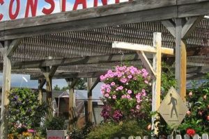 Your Local Constantine's Garden Center | Plants & More | The Ultimate Gardening Guide: Grow a Thriving Garden Year-Round