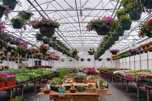 Your Raintree Garden Center Oasis: Plants & More! | The Ultimate Gardening Guide: Grow a Thriving Garden Year-Round