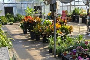 Your Local Cedar Grove Garden Center's Tips &amp; More | The Ultimate Gardening Guide: Grow a Thriving Garden Year-Round