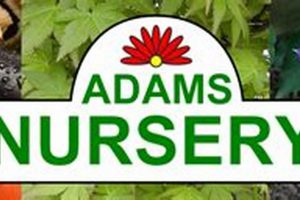Your Adams Nursery & Garden Center: Plants, Advice & More | The Ultimate Gardening Guide: Grow a Thriving Garden Year-Round