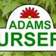 Your Adams Nursery & Garden Center: Plants, Advice & More | The Ultimate Gardening Guide: Grow a Thriving Garden Year-Round