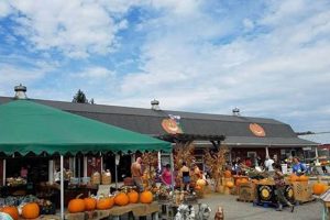 Your Ideal Farm Garden Center Guide &amp; More! | The Ultimate Gardening Guide: Grow a Thriving Garden Year-Round