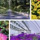 Your Brady's West Garden Center Guide: Plants & More! | The Ultimate Gardening Guide: Grow a Thriving Garden Year-Round