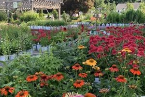 Find Top Garden Center Erie PA: Your Local Guide! The Ultimate Gardening Guide: Grow a Thriving Garden Year-Round Find Top Garden Center Erie PA: Your Local Guide! | The Ultimate Gardening Guide: Grow a Thriving Garden Year-Round