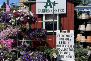 Duluth MN Garden Center: Plants, Supplies & More The Ultimate Gardening Guide: Grow a Thriving Garden Year-Round Duluth MN Garden Center: Plants, Supplies & More | The Ultimate Gardening Guide: Grow a Thriving Garden Year-Round
