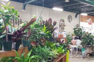 Visit Earl May Nursery & Garden Center in West Des Moines, IA Today! | The Ultimate Gardening Guide: Grow a Thriving Garden Year-Round