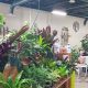 Visit Earl May Nursery & Garden Center in West Des Moines, IA Today! | The Ultimate Gardening Guide: Grow a Thriving Garden Year-Round