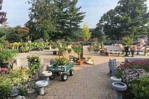 Visit Plum, PA's Best Holiday Garden Center! | The Ultimate Gardening Guide: Grow a Thriving Garden Year-Round