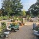 Visit Plum, PA's Best Holiday Garden Center! | The Ultimate Gardening Guide: Grow a Thriving Garden Year-Round