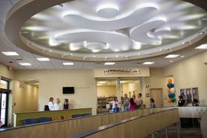 Winter Garden Community Health Center: Your Local Care Hub | The Ultimate Gardening Guide: Grow a Thriving Garden Year-Round