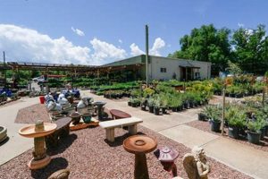 Your Local Brady's Garden Center: Plants & More! | The Ultimate Gardening Guide: Grow a Thriving Garden Year-Round