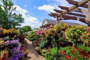 Visit Traverse des Sioux Garden Center St Peter MN: Plants & More! | The Ultimate Gardening Guide: Grow a Thriving Garden Year-Round