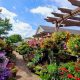 Visit Traverse des Sioux Garden Center St Peter MN: Plants & More! | The Ultimate Gardening Guide: Grow a Thriving Garden Year-Round