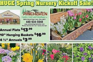 Winton Salem: Best Pine Mulch at Your Local Garden Center | The Ultimate Gardening Guide: Grow a Thriving Garden Year-Round