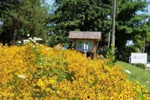Your Local Piedmont Garden Center: Plants, Supplies & More | The Ultimate Gardening Guide: Grow a Thriving Garden Year-Round