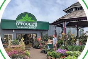 Your Local Highlands Ranch Garden Center: Plants & More! | The Ultimate Gardening Guide: Grow a Thriving Garden Year-Round
