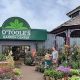 Your Local Highlands Ranch Garden Center: Plants & More! | The Ultimate Gardening Guide: Grow a Thriving Garden Year-Round