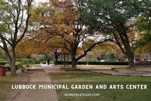 Discover Lubbock Garden & Arts Center Oasis | The Ultimate Gardening Guide: Grow a Thriving Garden Year-Round