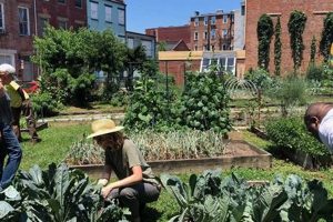 Explore: Civic Garden Center Cincinnati & More! The Ultimate Gardening Guide: Grow a Thriving Garden Year-Round Explore: Civic Garden Center Cincinnati & More! | The Ultimate Gardening Guide: Grow a Thriving Garden Year-Round