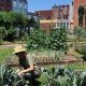 Explore: Civic Garden Center Cincinnati &amp; More! | The Ultimate Gardening Guide: Grow a Thriving Garden Year-Round