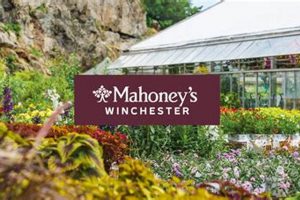Your Local Mahoney Garden Center: Plants & More! | The Ultimate Gardening Guide: Grow a Thriving Garden Year-Round
