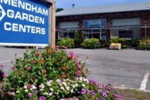 Your Mendham & Chester NJ Garden Center | Plants & More | The Ultimate Gardening Guide: Grow a Thriving Garden Year-Round