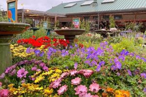 Your Guide: Sloat Garden Center San Francisco Tips & More! The Ultimate Gardening Guide: Grow a Thriving Garden Year-Round Your Guide: Sloat Garden Center San Francisco Tips & More! | The Ultimate Gardening Guide: Grow a Thriving Garden Year-Round