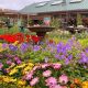 Your Guide: Sloat Garden Center San Francisco Tips & More! | The Ultimate Gardening Guide: Grow a Thriving Garden Year-Round