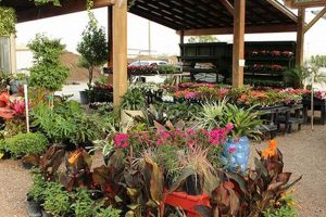 Your Top Houston Garden Center Pearland Guide ➡ | The Ultimate Gardening Guide: Grow a Thriving Garden Year-Round