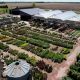 Your Dream Landscape: Garden Center Sioux Falls, SD Experts! | The Ultimate Gardening Guide: Grow a Thriving Garden Year-Round