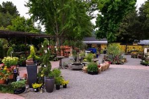 Your Bay Laurel Garden Center: Plants & More! The Ultimate Gardening Guide: Grow a Thriving Garden Year-Round Your Bay Laurel Garden Center: Plants & More! | The Ultimate Gardening Guide: Grow a Thriving Garden Year-Round
