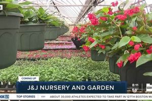 Your J & J Nursery & Garden Center | Plants & More! | The Ultimate Gardening Guide: Grow a Thriving Garden Year-Round