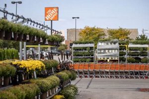 Find Your Garden Center Longview TX Oasis Today! | The Ultimate Gardening Guide: Grow a Thriving Garden Year-Round