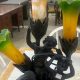 Shop Winter Garden Thrift Stores: Deals &amp; Finds! | The Ultimate Gardening Guide: Grow a Thriving Garden Year-Round