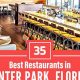 Winter's Best: Places to Eat in Winter Garden, FL Guide | The Ultimate Gardening Guide: Grow a Thriving Garden Year-Round