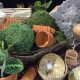 Grow Your Home: Down to Earth Home Garden &amp; Gifts Today! | The Ultimate Gardening Guide: Grow a Thriving Garden Year-Round