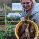 Winter Bliss: Garden Employment &amp; Jobs Near You | The Ultimate Gardening Guide: Grow a Thriving Garden Year-Round