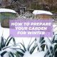 Winter-Ready: How to Prepare Your Garden for Winter's Chill | The Ultimate Gardening Guide: Grow a Thriving Garden Year-Round