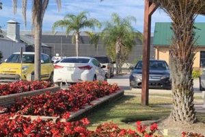 Best Plant Nursery Winter Garden FL Guide Near You The Ultimate Gardening Guide: Grow a Thriving Garden Year-Round Best Plant Nursery Winter Garden FL Guide Near You | The Ultimate Gardening Guide: Grow a Thriving Garden Year-Round