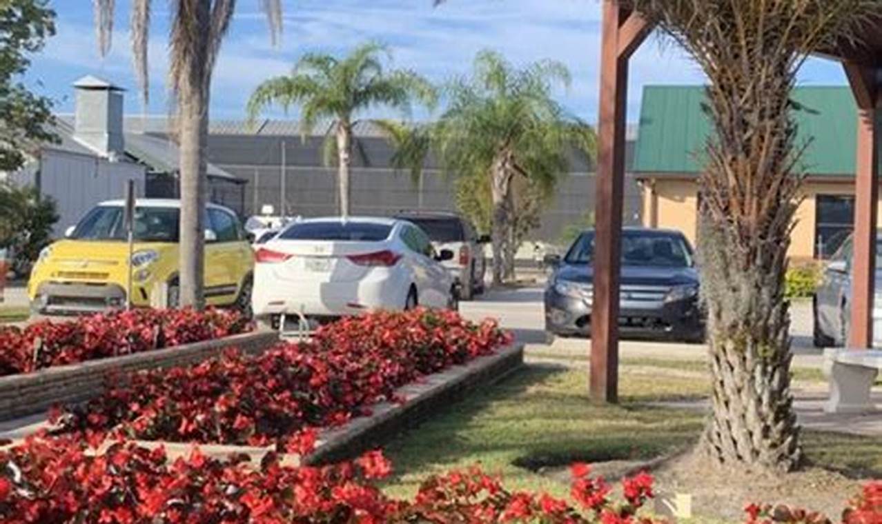 Best Plant Nursery Winter Garden FL Guide Near You The Ultimate Gardening Guide: Grow a Thriving Garden Year-Round Best Plant Nursery Winter Garden FL Guide Near You | The Ultimate Gardening Guide: Grow a Thriving Garden Year-Round