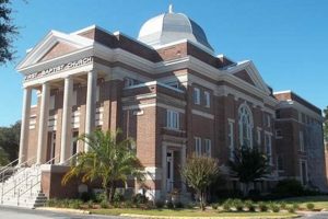 Winter Garden's First Baptist: Faith & Community The Ultimate Gardening Guide: Grow a Thriving Garden Year-Round Winter Garden's First Baptist: Faith & Community | The Ultimate Gardening Guide: Grow a Thriving Garden Year-Round