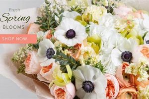 Best Winter Garden Florist: Flowers & More! The Ultimate Gardening Guide: Grow a Thriving Garden Year-Round Best Winter Garden Florist: Flowers & More! | The Ultimate Gardening Guide: Grow a Thriving Garden Year-Round