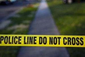 Breaking: Winter Garden Shooting Today Latest Updates | The Ultimate Gardening Guide: Grow a Thriving Garden Year-Round