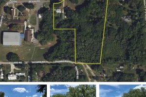 Discover Winter Garden Land for Sale Today! | The Ultimate Gardening Guide: Grow a Thriving Garden Year-Round