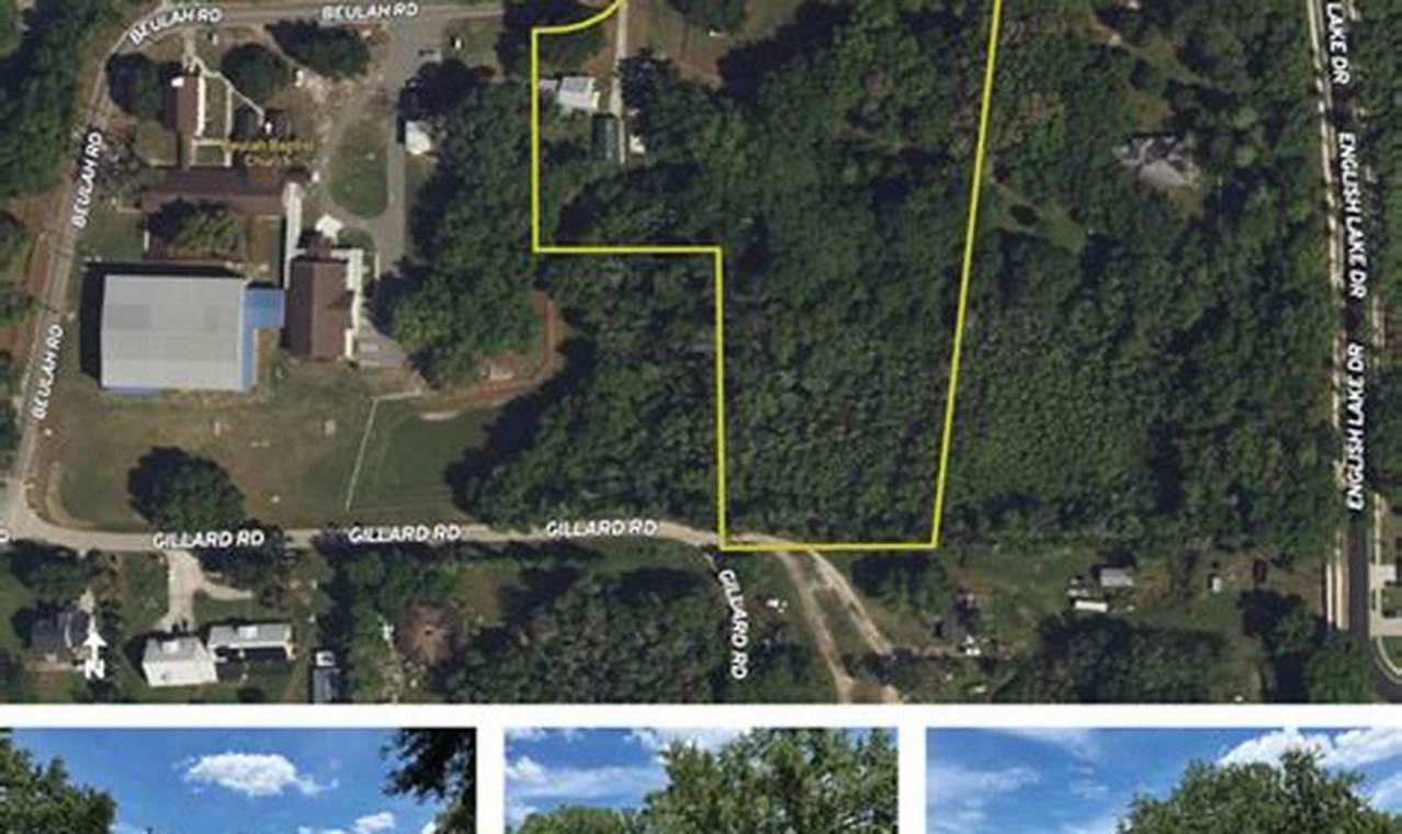 Discover Winter Garden Land for Sale Today! | The Ultimate Gardening Guide: Grow a Thriving Garden Year-Round