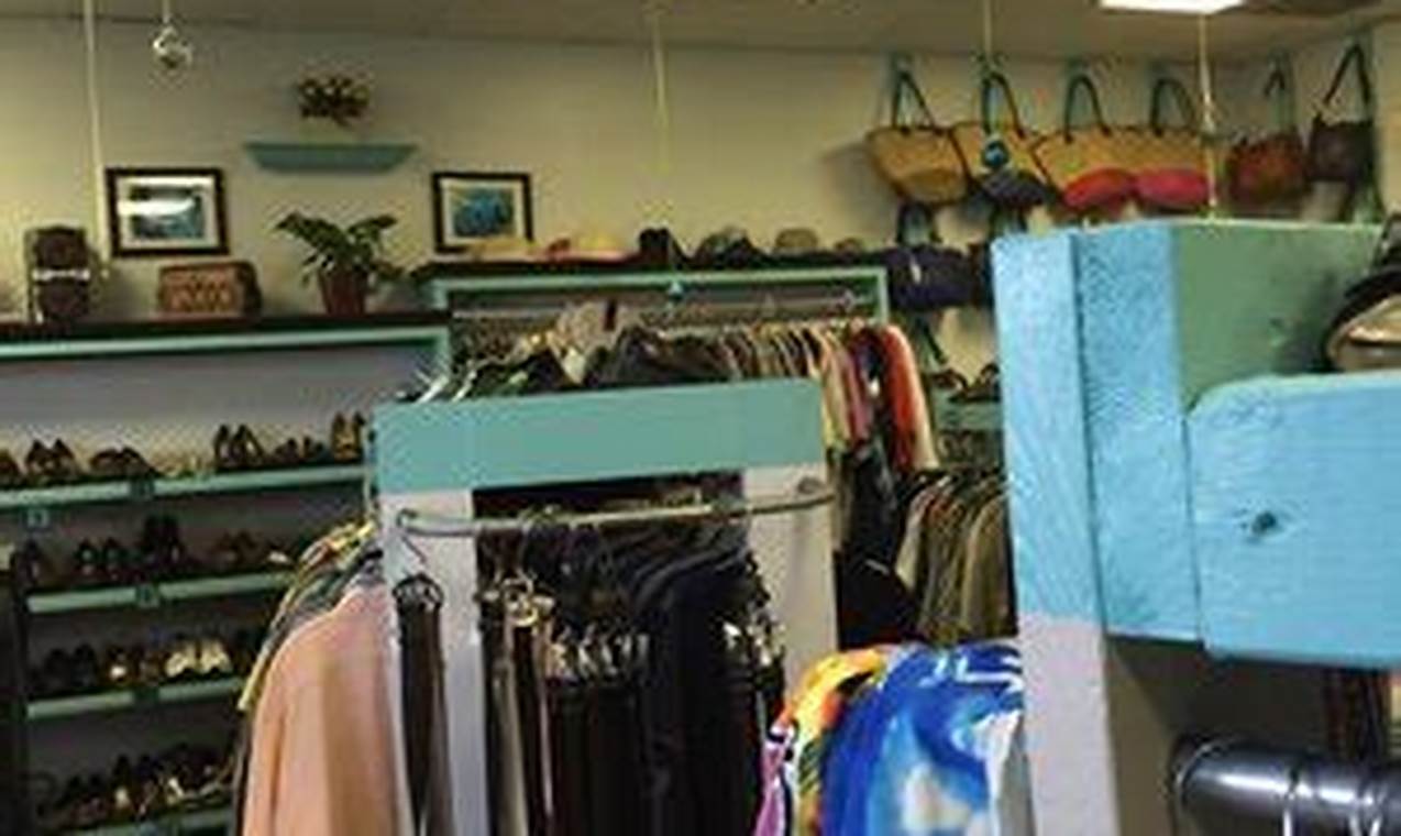 Best Thrift Store Winter Garden FL Deals The Ultimate Gardening Guide: Grow a Thriving Garden Year-Round Best Thrift Store Winter Garden FL Deals | The Ultimate Gardening Guide: Grow a Thriving Garden Year-Round