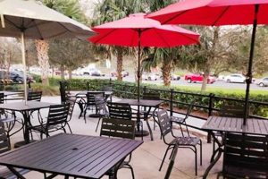 Best Chinese Food in Winter Garden, FL - [Your Guide] | The Ultimate Gardening Guide: Grow a Thriving Garden Year-Round