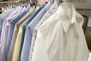 Best Dry Cleaners in Winter Garden, FL - Eco-Friendly & Fast | The Ultimate Gardening Guide: Grow a Thriving Garden Year-Round