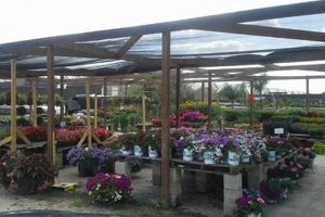 Your Guide: Nursery Winter Garden FL Plants & Tips | The Ultimate Gardening Guide: Grow a Thriving Garden Year-Round